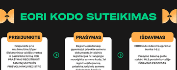 EORI Kodo Tikrinimas: Svarbiausia Informacija ir Kaip Jį Gauti